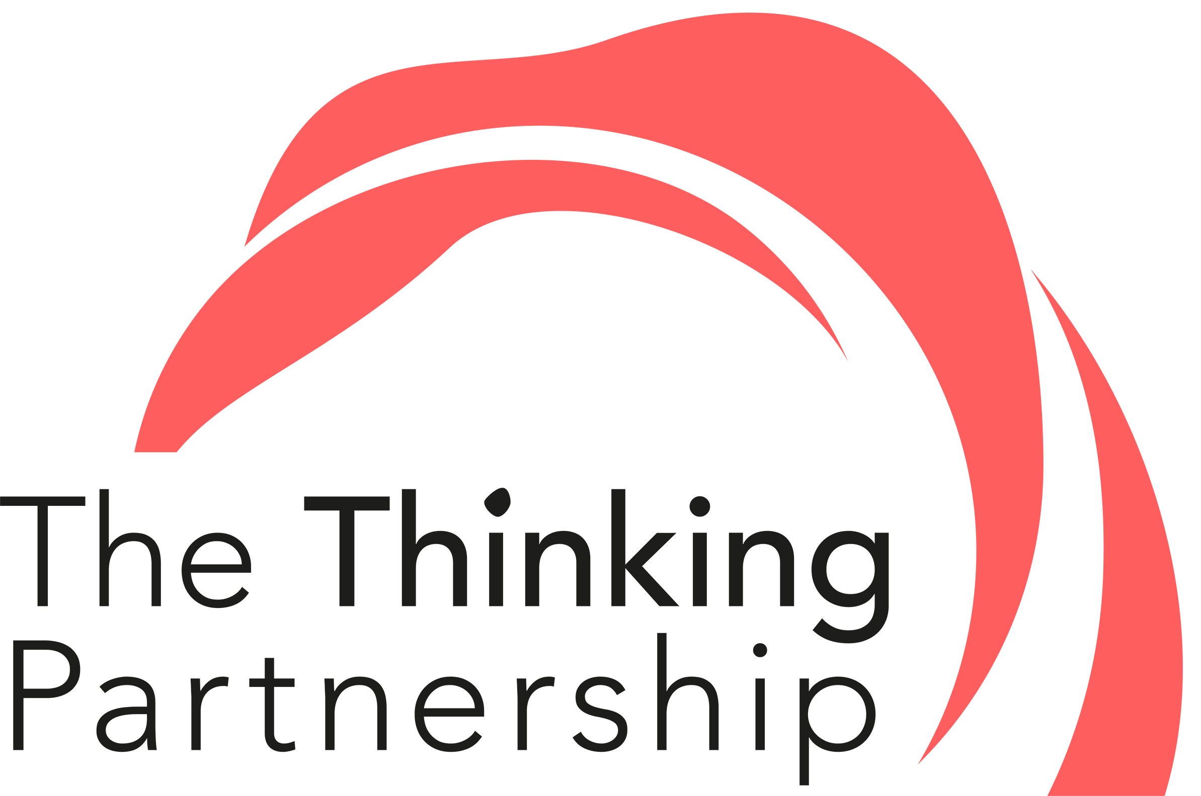 The Thinking Partnership